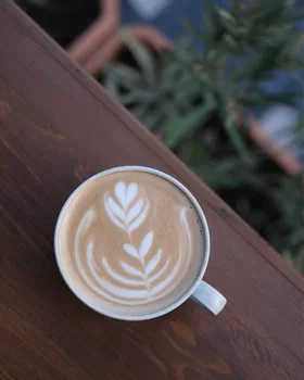 Stoa Coffee Academy resimleri