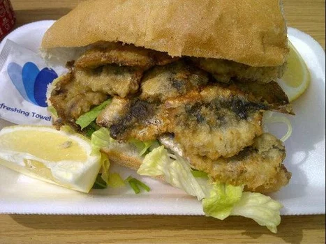 Foça Balık Evi resimleri