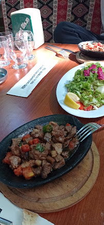 YENİ DEĞİRMEN EROL USTANIN YERİ 35