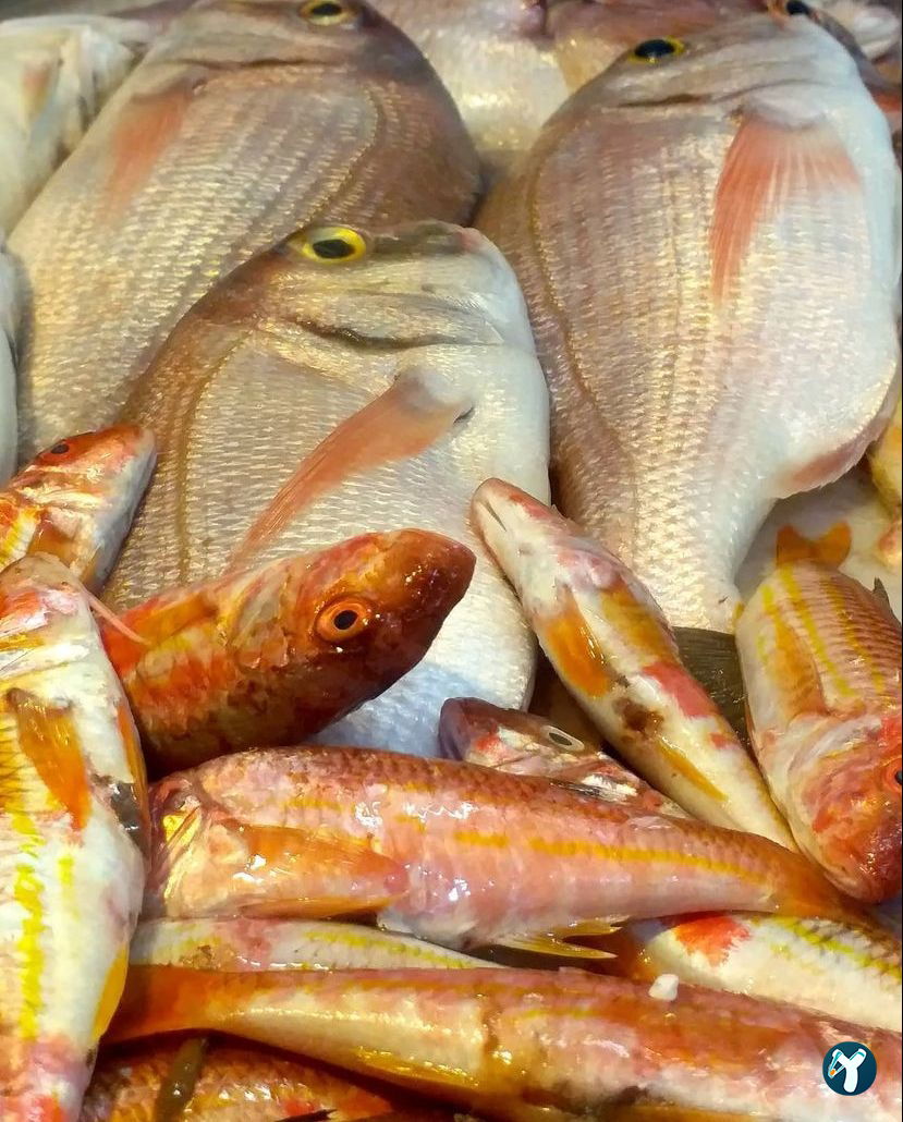 Sığacık Ermiş Balık Pişirme Evi & Balık Ekmek