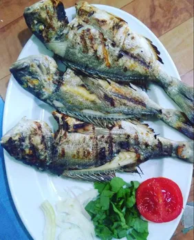Sığacık Ermiş Balık Pişirme Evi & Balık Ekmek resimleri