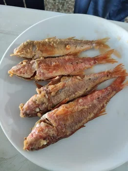 Garip'in Yeri resimleri