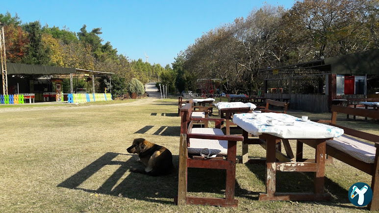 Titus Feronia Restoran