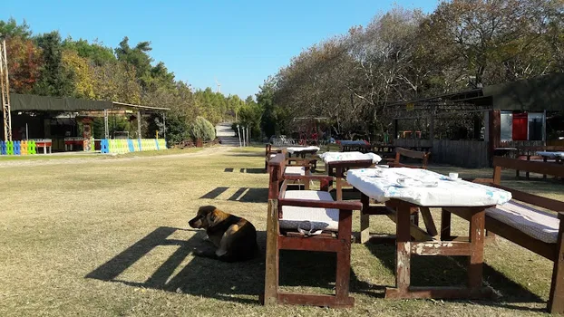 Titus Feronia Restoran resimleri