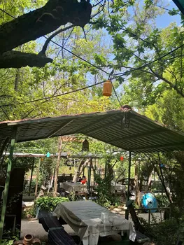 Değirmen Restorant & Kahvaltı Salonu resimleri