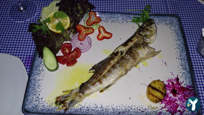 Maya Bistro Restaurant