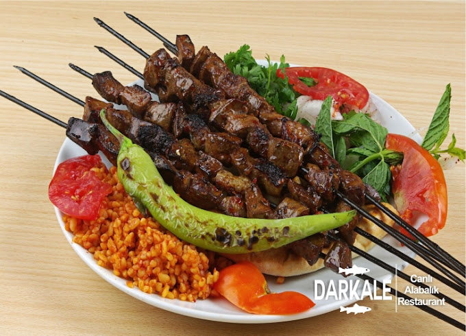 Darkale Köyü Canlı Alabalık Restoran