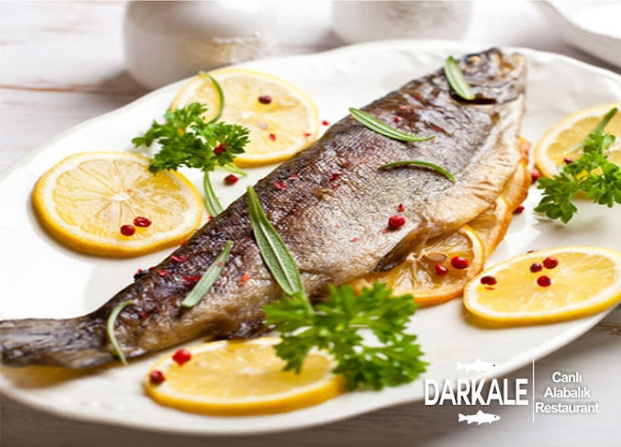 Darkale Köyü Canlı Alabalık Restoran