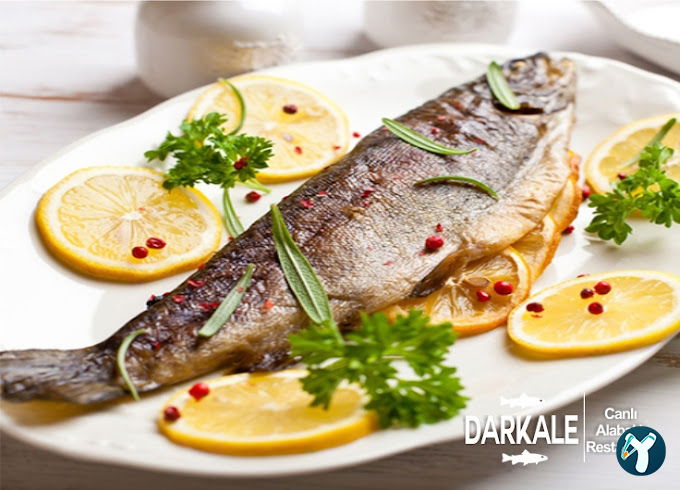 Darkale Köyü Canlı Alabalık Restoran