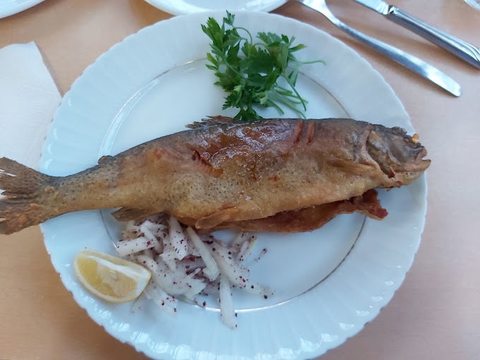 Darkale Köyü Canlı Alabalık Restoran