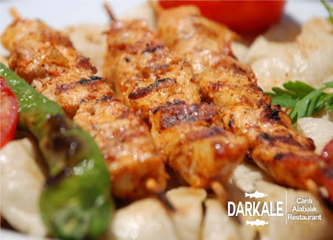 Darkale Köyü Canlı Alabalık Restoran