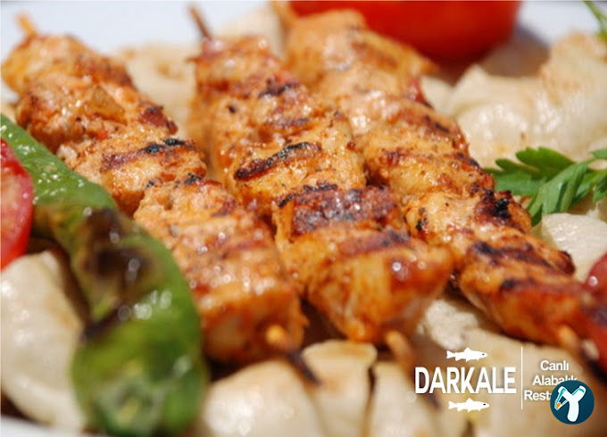 Darkale Köyü Canlı Alabalık Restoran