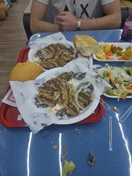 Fish Fish Balık resimleri