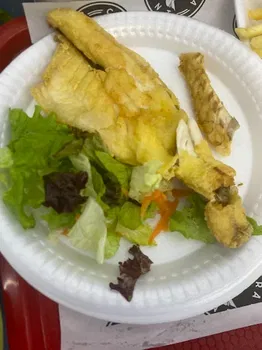 Fish Fish Balık resimleri