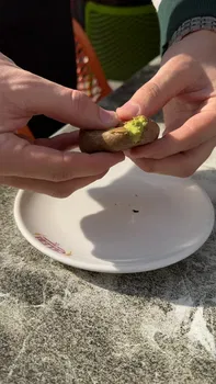 Çelebi Unlu Mamuller resimleri