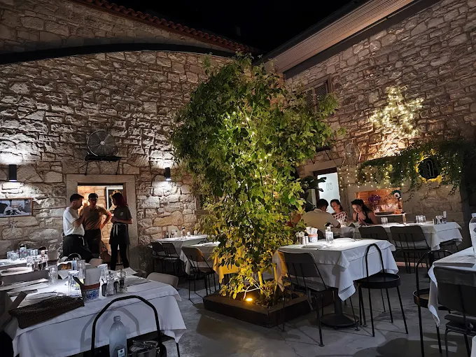 ASLINDA MEYHANE URLA