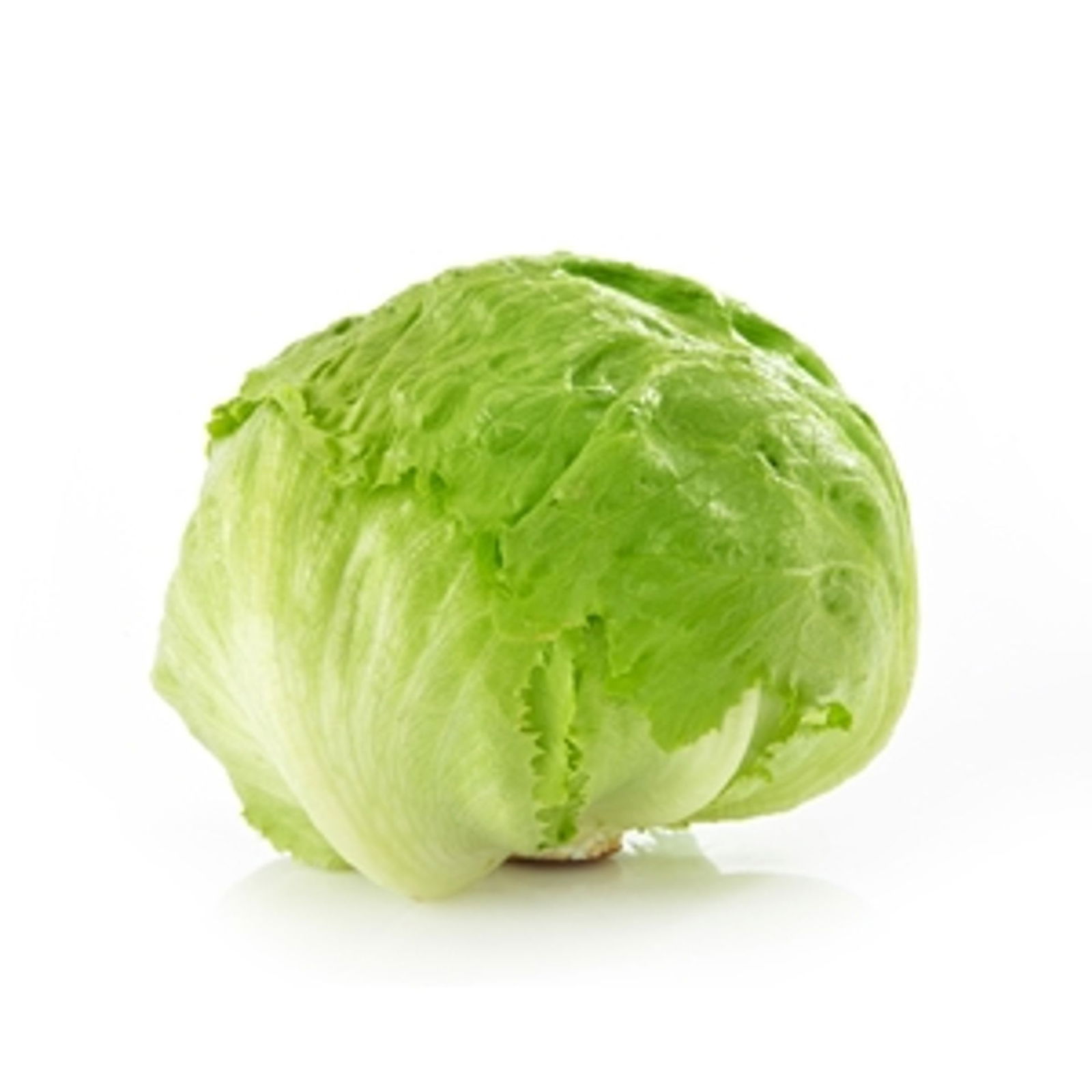 Iceberg Marul (Yarım)