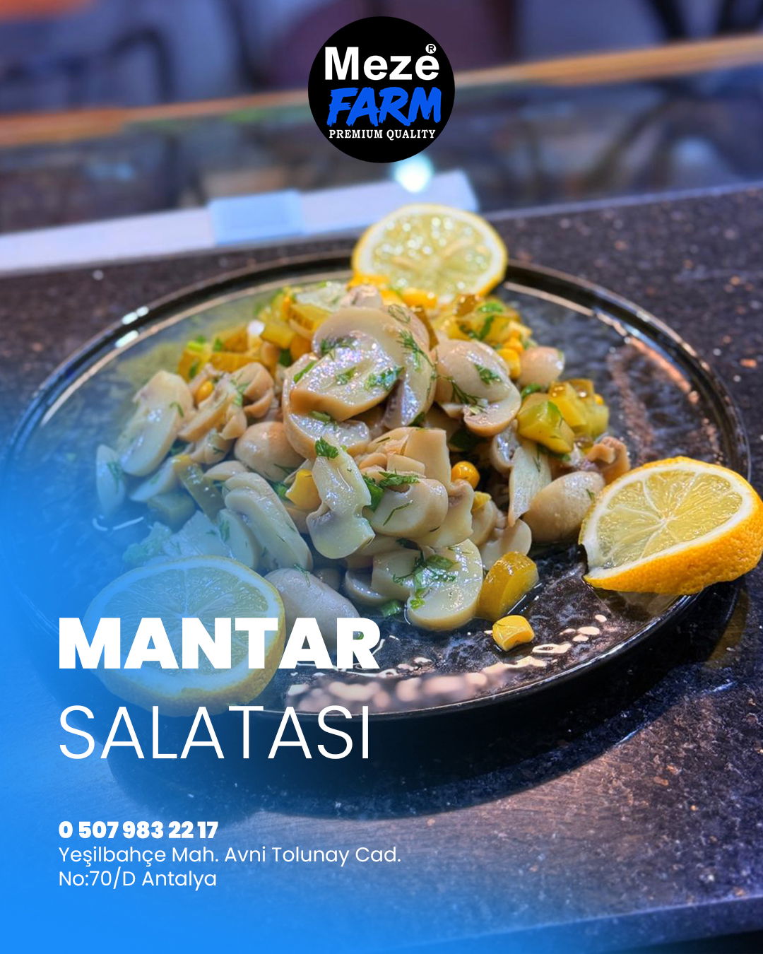 Mantar salatası