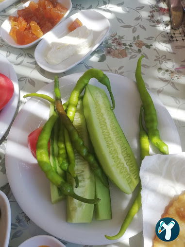 Lebi Derya