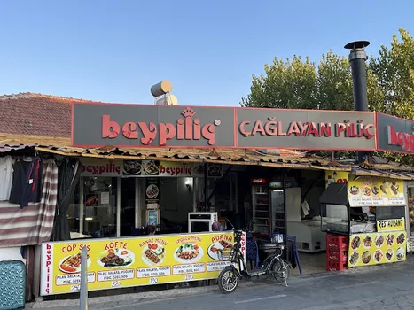 Caglayan pilic resimleri