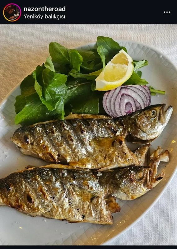 Yeniköy Balıkçısı