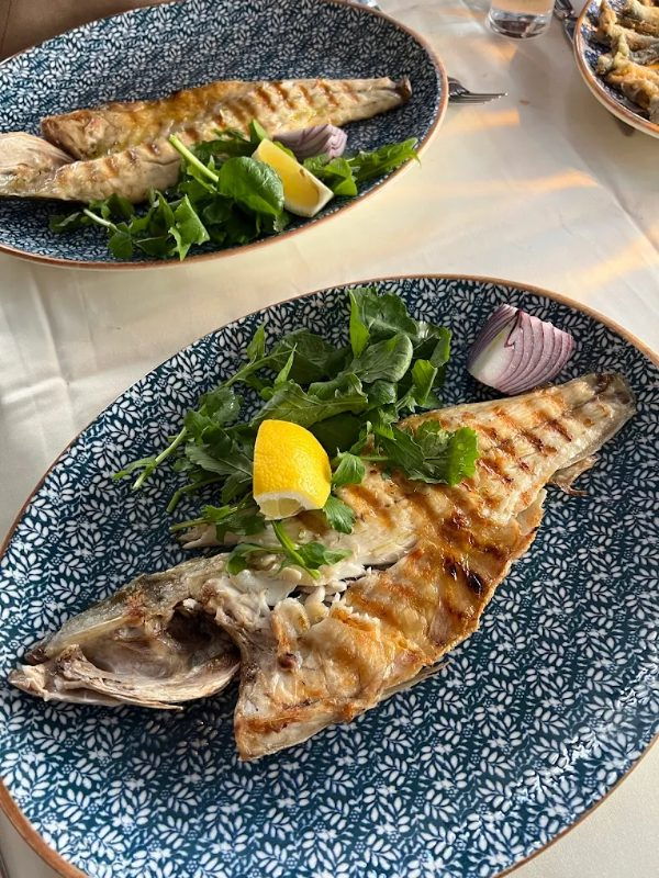 Yeniköy Balıkçısı