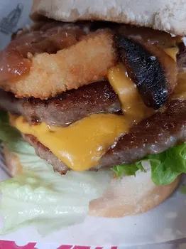 Ohannes Burger IYTE resimleri