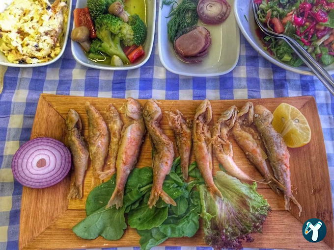 Massha Şile Balıkçısı