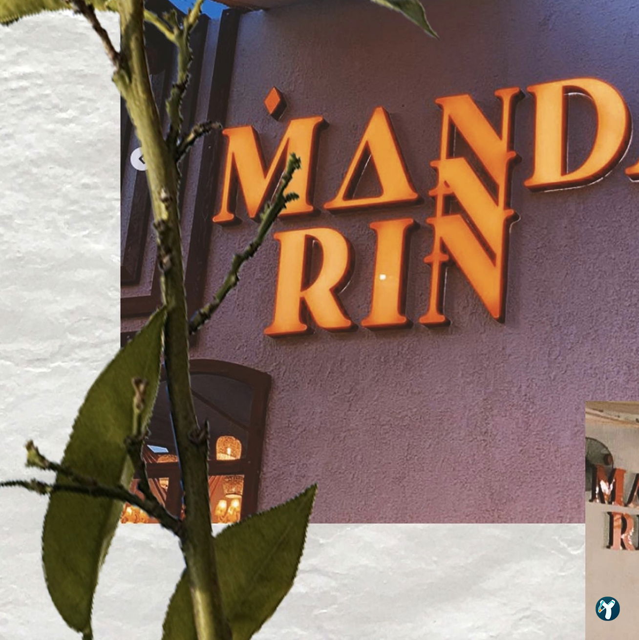 Mandarin İzmir