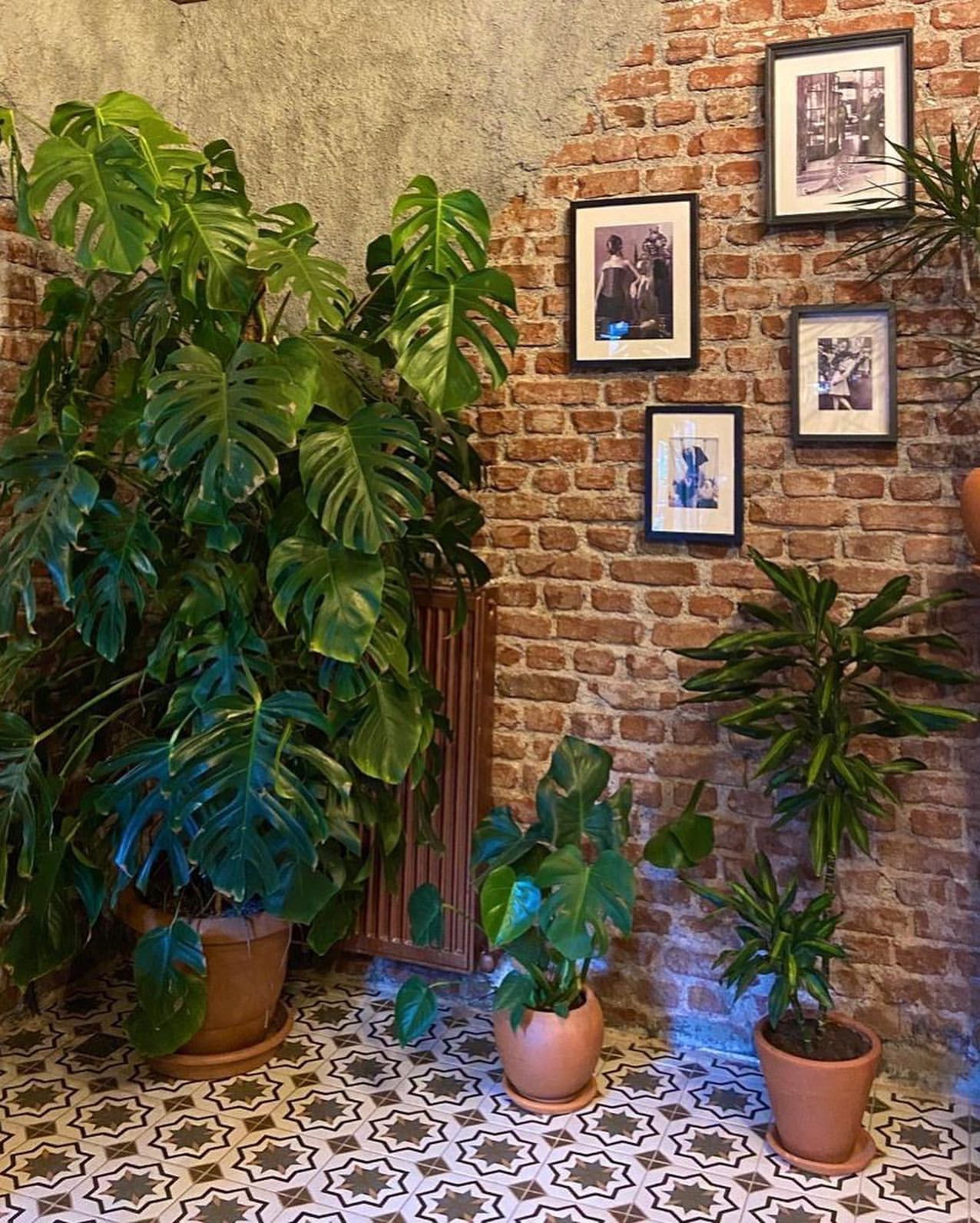 Ordinarius Coffee Sümer