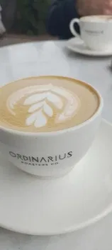 Ordinarius Coffee Sümer resimleri