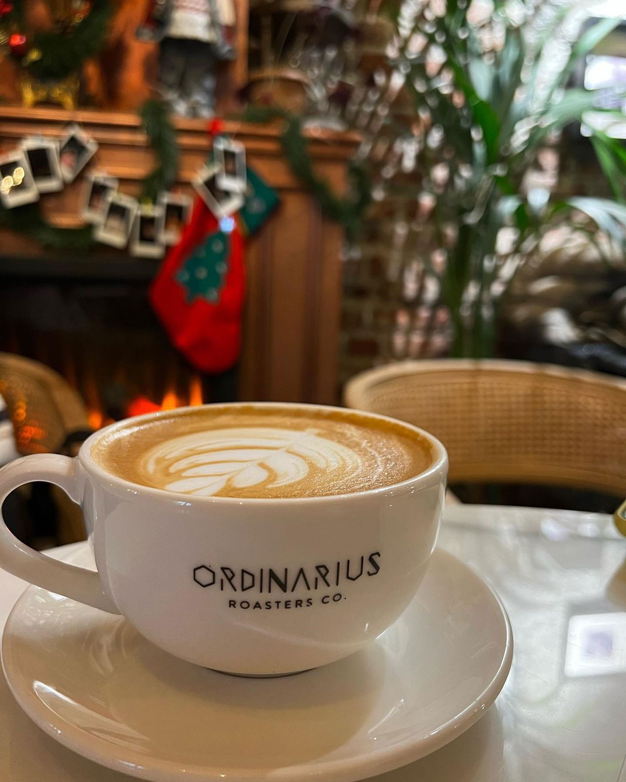Ordinarius Coffee Sümer