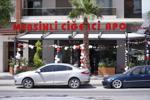 Mersinli Ciğerci Apo resimleri