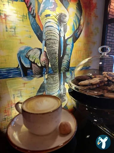 Cafe Fresco Coffee & Roastery