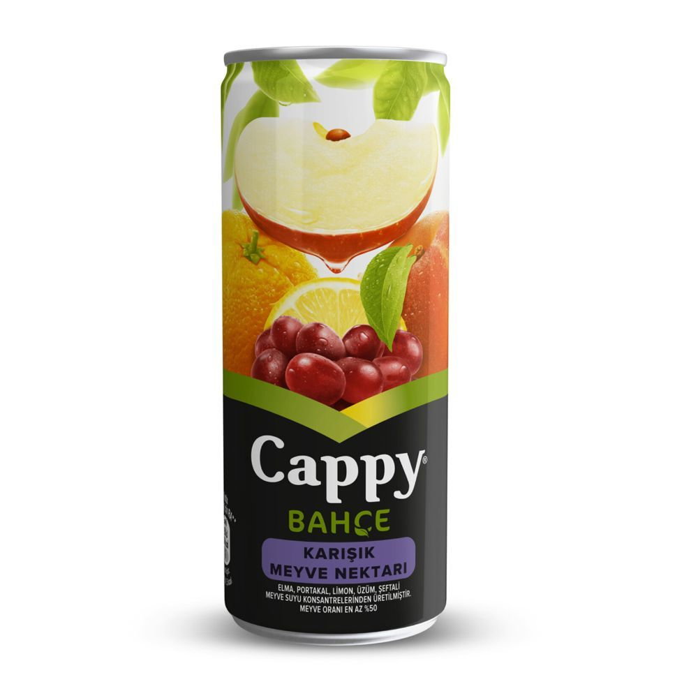 Cappy (25 cl.)