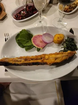 Yelken Balık resimleri