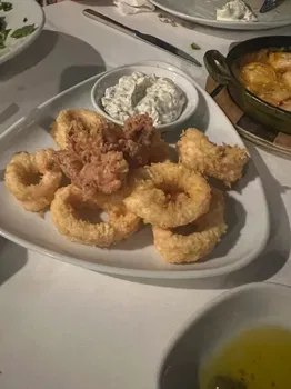 Yelken Balık resimleri