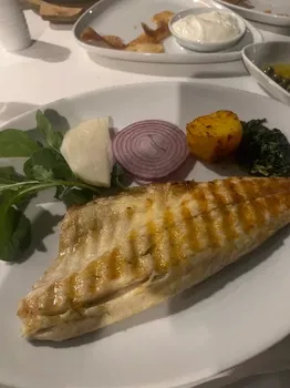 Yelken Balık resimleri