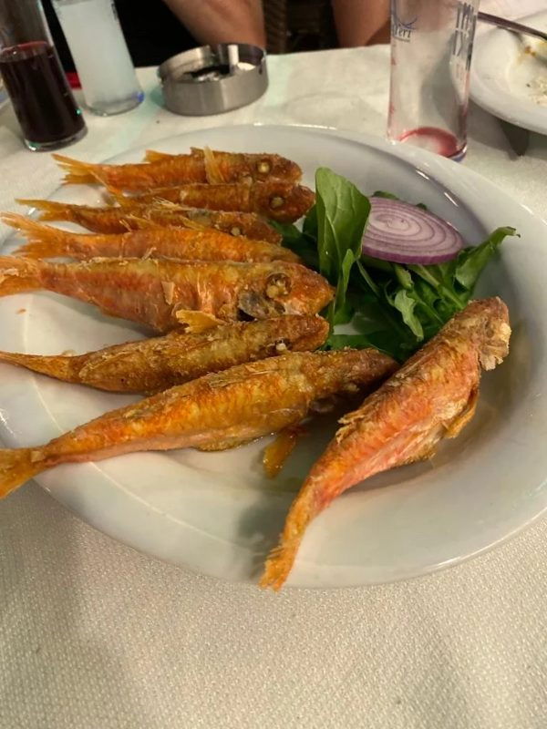 Akın'ın Yeri Özbek