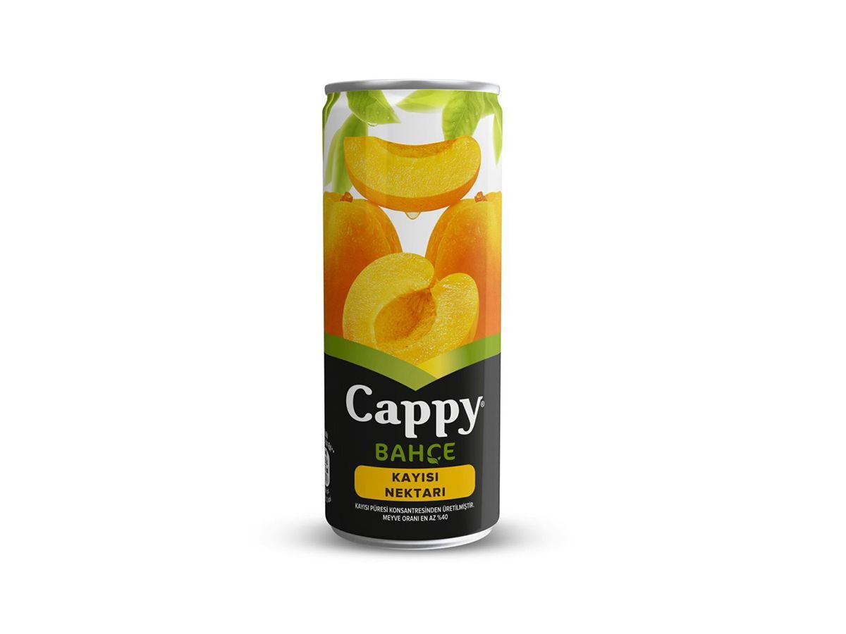 Cappy Kayısı (33 cl.)