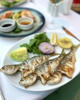 Balat Sahil Restaurant resimleri