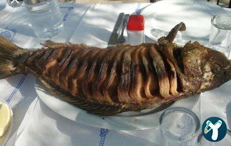 Sapkali Cemo Dayinin Yeri