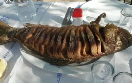 Sapkali Cemo Dayinin Yeri resimleri