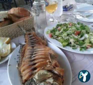 Sapkali Cemo Dayinin Yeri