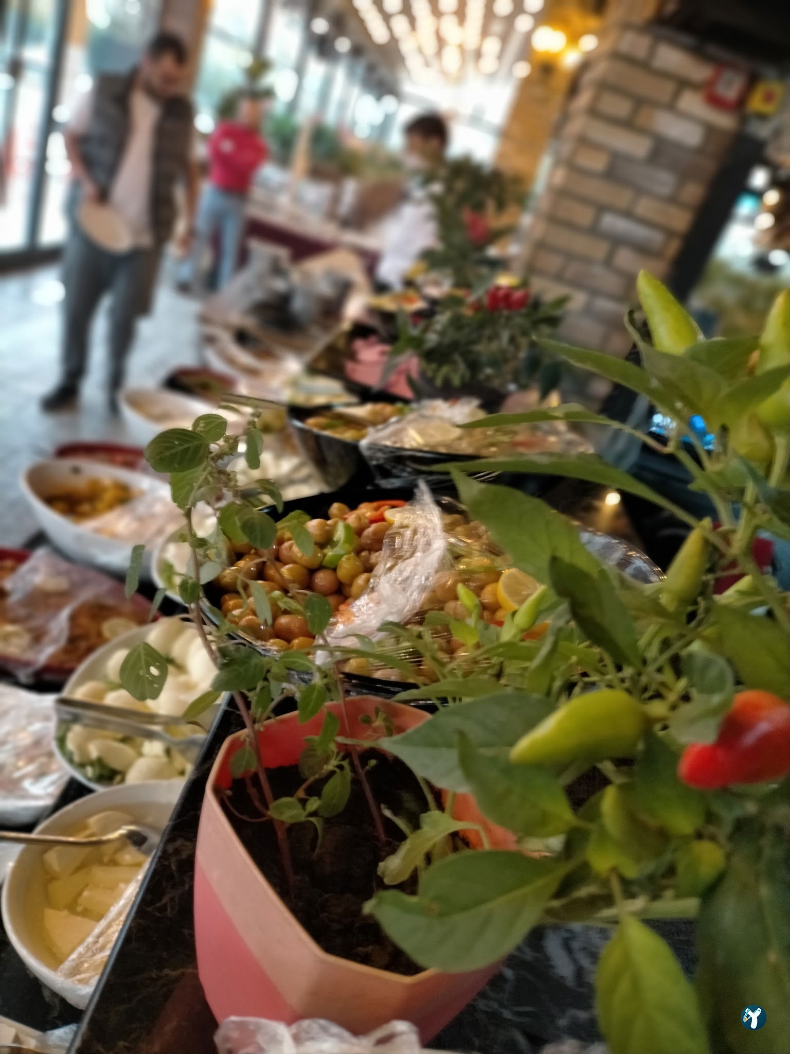 Artgurme Coffee Bistro