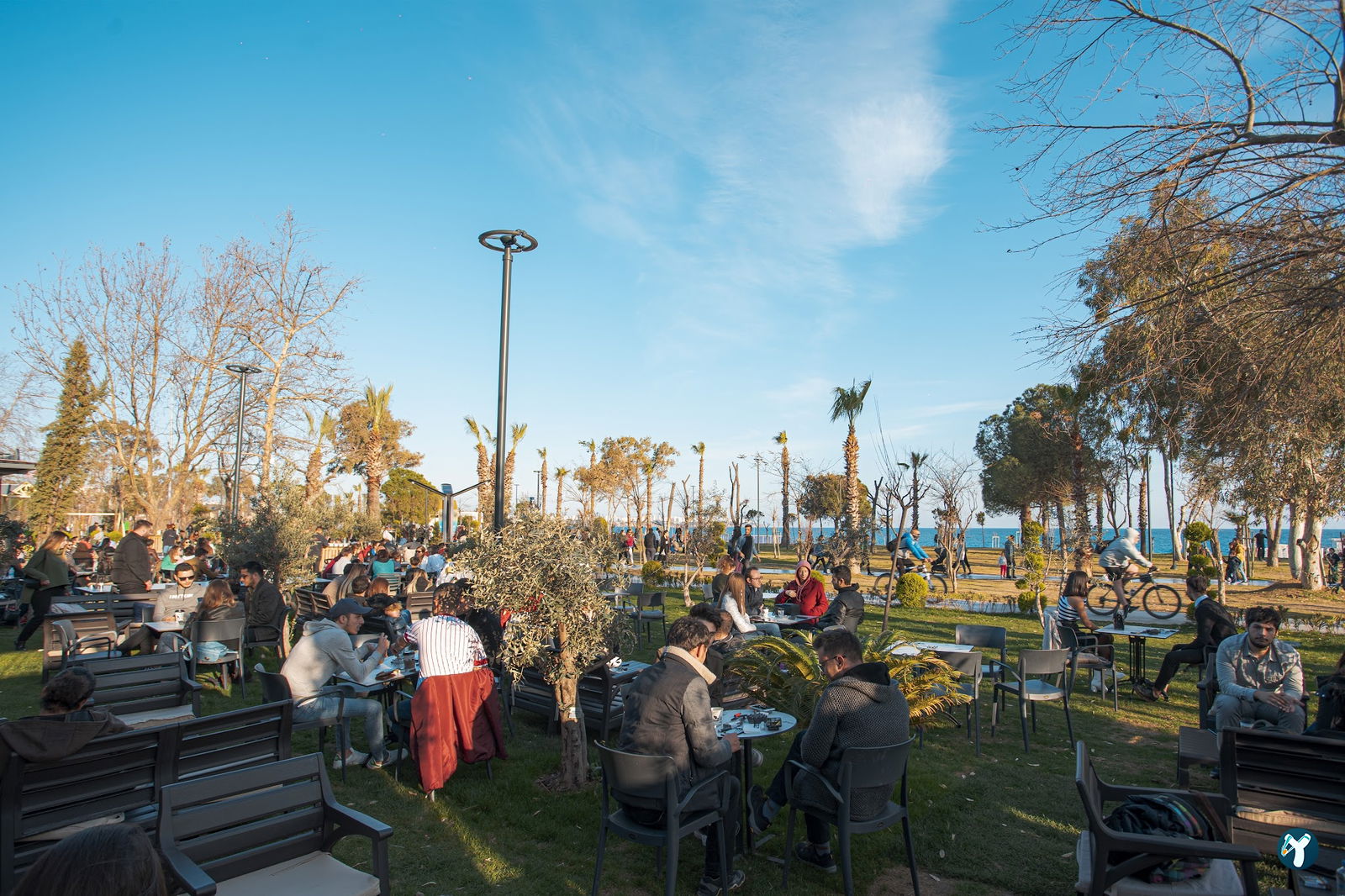 The Beaver Coffee Shop Beach Park