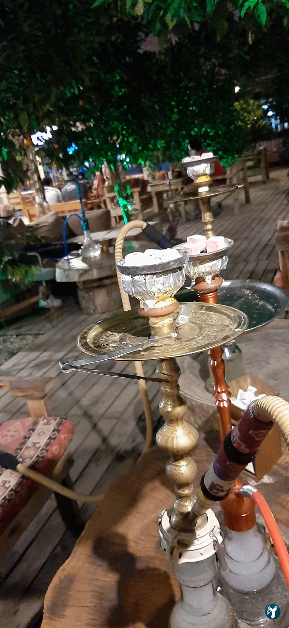 Palm Cafe