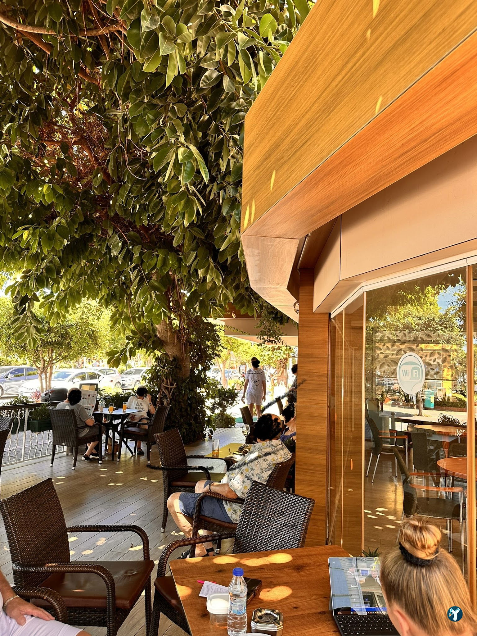 Palm Cafe