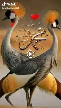 Hasan Gültekin Çorlu resimleri