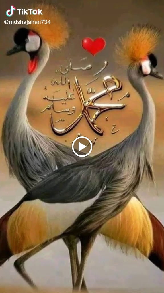 Hasan Gültekin Çorlu